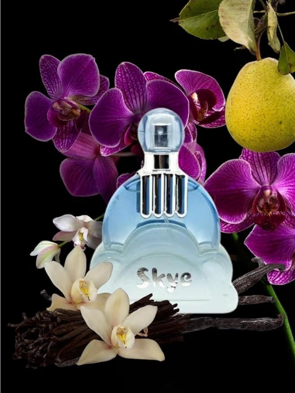 Skye By FC Fruity And Gourmand